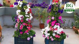 Pin On Gardening