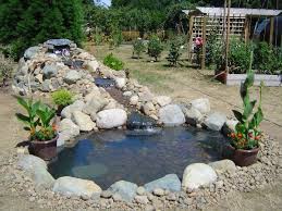 Comment Faire Son Propre Bassin De Jardin En Quelques Etapes Bassin De Jardin Petit Bassin De Jardin Cascade De Jardin