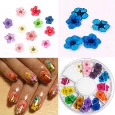 Blue dried flowers, nail art, epoxy, diy. 12 Color Wheel Dried Dry Flower Nail Art Decorations For Uv Gel Acrylic Tips Flower Nail Art Dry Nails Flower Nails