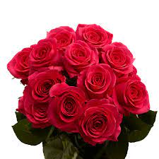 Do they sell roses at walmart? One Dozen Hot Pink Roses Fresh Flower Delivery Walmart Com Walmart Com