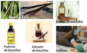 Vegetarian - A essência de baunilha é feita em laboratório e leva  ingredientes como aromatizantes e corantes até que o resultado chegue a  algo que lembre o cheiro da baunilha. Já o