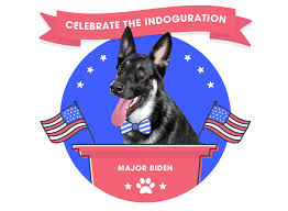 Some homeowners insurance providers will require information about any dogs living within the home. Get Ready For The World S Largest Zoom Call For Dogs Album On Imgur