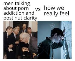 Lets be honest, no one wants to be addicted to porn. : rmemes