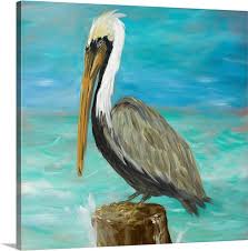 Debbie Roop (debbieroop)