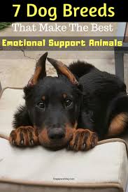 7 Dog Breeds That Make The Best Emotional Support Animals Dogspaceblog In 2020 Emotional Support Animal Dog Breeds Support Animal