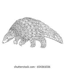 The pangolin's body is covered with horny scales, which are stacked on top of each other on its body, accounting for about 20% of its body weight. Hand Drawn Doodle Illustration Pangolin Zentangle Stock Vector Royalty Free 654361036