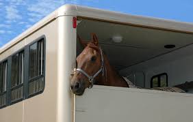 March/April 2022 Pinehurst Living by Pinehurst Living Magazine