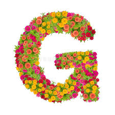 High resolution picture downloads for your next project. Buchstabe G Alphabet Gemacht Von Der Zinniablume Stockbild Bild Von Alphabet Blume 101847343