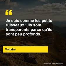 Chaque jour, je me lève à neuf heures du matin. Je Suis Comme Les Petits Ruisseaux Ils Sont Transparents Parce Voltaire