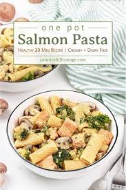 Easy Salmon Pasta One Pot Recipe Dairy Free Gluten Free Recipe Salmon Pasta Creamy Pasta Recipes Salmon Pasta Recipes