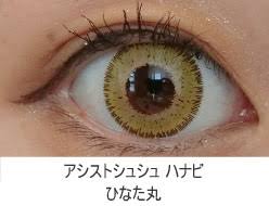 アシストシュシュハナビ ひなた丸レポ レポカラ