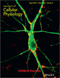 1,240,508 results match your criteria plant & cell physiologyjournal. Journal Of Cellular Physiology Vol 234 No 8