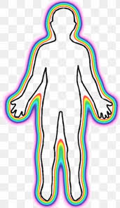 Check spelling or type a new query. Human Figure Outline Images Human Figure Outline Transparent Png Free Download