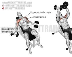 Image of Dumbbell Flyes exercise