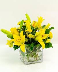 Maybe you would like to learn more about one of these? San Angelo Florist Flower Delivery By Shirley Floral Company