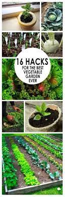 16 Hacks For The Best Vegetable Garden Ever Organic Gardening Tips Vegetable Garden Veggie Garden