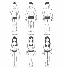 What Is A Healthy Body Body Types Body Type Diet Endomorph
