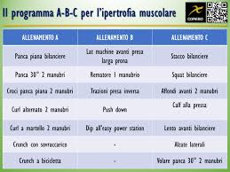 Scheda Palestra Massa Muscolare Esempi E Guida Pratica
