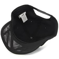 Puma Casquette Mercedes Amg Petronas Motorsport 021539 01 Noir Laboutiqueofficielle Com