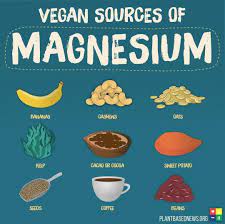 Plant Based News On Instagram Sources Of Magnesium On A Plantbased Diet Magnesium Foods Plant Based Diet Vegan Nutrition