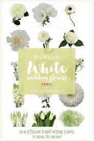 Features smooth leaves and tall spikes of purple and white flowers. White Flowers Names Artofit