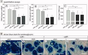 No videos, backdrops or posters have been added to wang waree. Chondrocyte Redifferentiation In 3d The Effect Of Adhesion Site Density And Substrate Elasticity Schuh 2012 Journal Of Biomedical Materials Research Part A Wiley Online Library