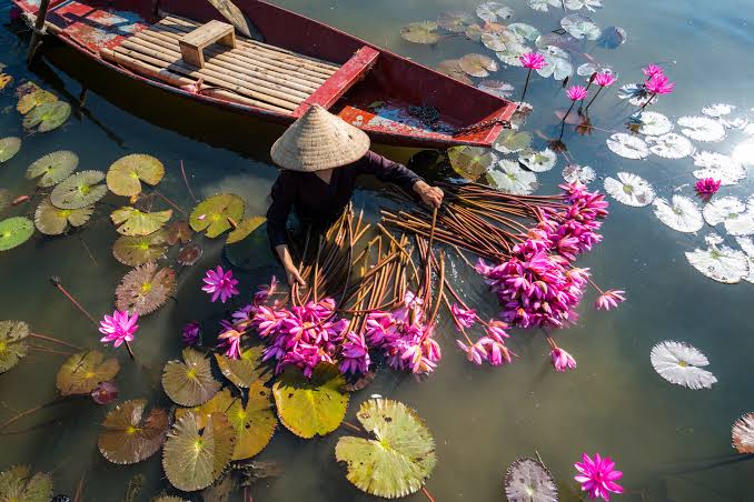 Khám Phá Miền Tây Sông Nước Việt Nam Mùa Thu | FOCUS ASIA TRAVEL