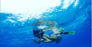 Her birth sign is sagittarius and her life path number is 8. Rocio Toscano Sorprende Con Fotografias En El Caribe Showsport