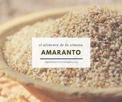 Amaranto El Alimento Vegetal Mas Completo La Garbancita Ecologica
