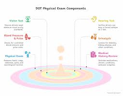 Image result for DOT Examination