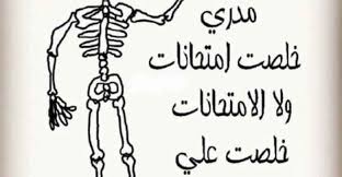 10 نكت عن الامتحانات والغش والدراسة هتفطسك من الضحك home decor decals