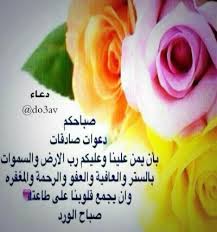 صباحكم دعوات صادقات Greetings Rose Flowers
