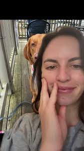 Free Puppy Love: Redbone Coonhound Bloodhound Mix and More