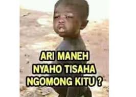100 Gambar Lucu Bikin Ngakak Bisa Untuk Stiker Wa Jalantikus