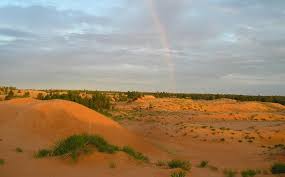 Image result for Mostuea