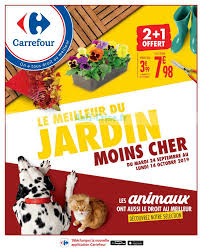 Catalogue Carrefour Du 24 Septembre Au 14 Octobre 2019 Jardin Catalogues Promos Bons Plans Economisez Anti Crise Fr