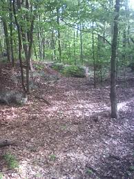 Use the power of multiple search engines to find the top results for you. Long Hunter State Park A Tennessee State Park Located Near Antioch Brentwood And Franklin