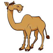 Download camel images and photos. Cartoon Camel Vector Clipart Illustration Stock Vector Illustration Of Desert Colorful 96505938