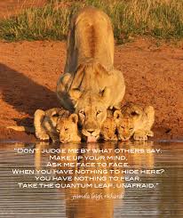But to lose simba, who had barely begun to live…. Lioness Quotes And Saying Quotesgram