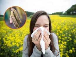 Da aufgrund der deutlich zu warmen witterung die vegetation ihrem normalen stand etwa zwei wochen voraus ist, fliegen bestimmte pollensorten dieses jahr deutlich eher. Heuschnupfen Mildes Wetter Sorgt Fur Pollenflug Tipps Fur Allergiker Service