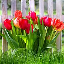 Основні питання і поради