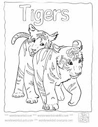 About the things around them that is dangerous we must remind. Baby Tiger Coloring Pages Coloring Home