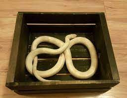 Blizzard Corn Snake In A Wooden Crate Corn Snake Snake Wooden Crate