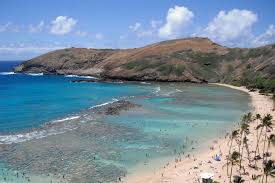 Hanauma is a marine embayment formed within a volcanic cone and located along the southeast coast of the island of oʻahu (just east of honolulu) in the hawaiian islands. Hanauma Bay Guided Snorkel Tour With Underwater Photos 2021 Oahu
