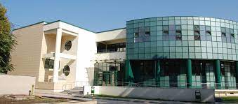 Ca sa faci bani din psihologie trebuie sa devii bun in acele domenii in care vrei sa ii inveti si pe altii. Mesajul Decanului Facultatea De Psihologie È™i È™tiinÈ›ele EducaÈ›iei