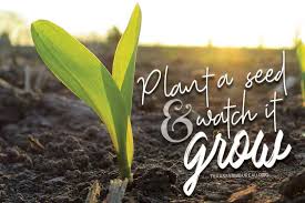 Plant A Seed And Grow An Understanding Of Agriculture That S The Message Behind Texas Farm Bureau S Tfb Planting The Texas Farm Bureau Planting Seeds Plants