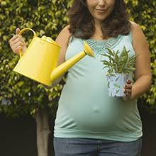 Bladder Control Problems Urinary Incontinence Niddk