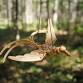 Weave a Birch Bark Bird! event image