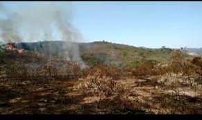 In soli 10 giorni oltre 320 ore di volo. Focos De Incendio Voltam A Tomar Conta De Mata Em Conceicao Do Mato Dentro