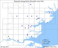 Image result for Stigmella basiguttella